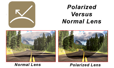 Albabici Cycling Products - Polarized LIMAR lens